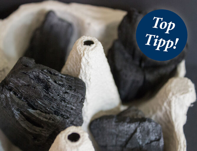 TOP TIP: Contenitore per uova con carbonella che accende davvero il fuoco 