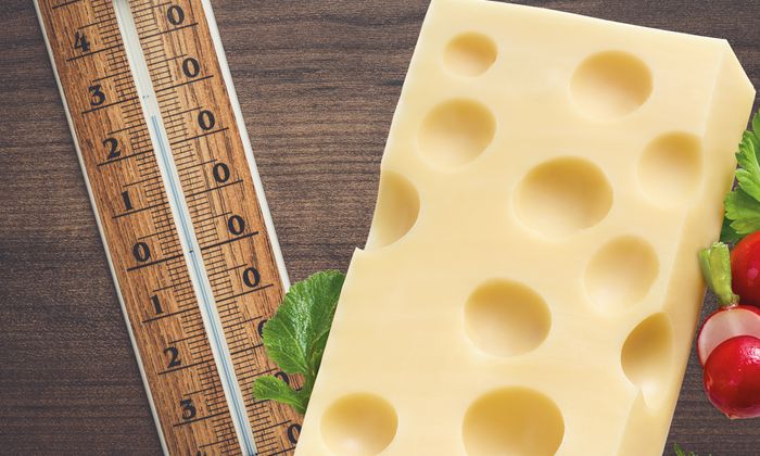 Pezzo di formaggio Emmental di GOLDSTEIG e termometro per mantenere la giusta temperatura con i ravanelli 