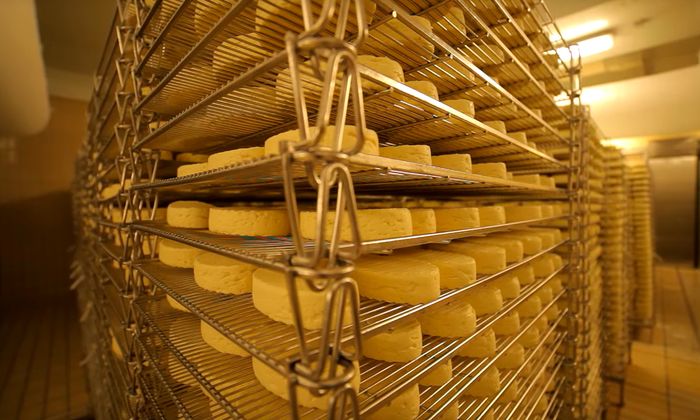 Le forme di formaggio su griglie vengono conservate per la stagionatura