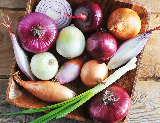 Vari tipi di cipolle in una ciotola di legno su un tavolo di legno per insalata con prodotti GOLDSTEIG 