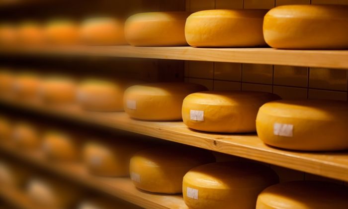 Magazzino per formaggi con forme di formaggio su ripiani di legno per la stagionatura del formaggio 