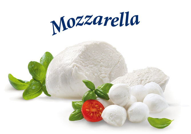 Mozzarella Kugel und Mini Mozzarella von GOLDSTEIG mit Basilikum und Cherry Tomate