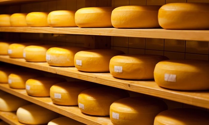 Magazzino per formaggi con forme di formaggio su ripiani in legno per la stagionatura del formaggio 