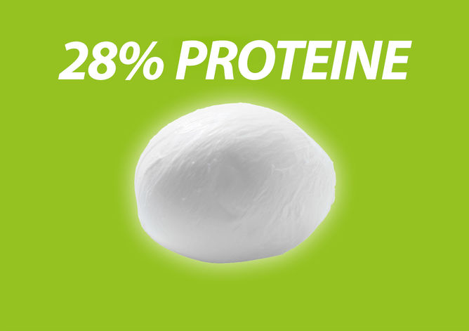 Il misurino di formaggio proteico Protinella High Protein Mozzarella